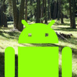 Andi | Apple Liason Manager